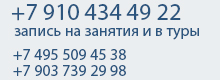 Телефон Московской Школы Дайвинга